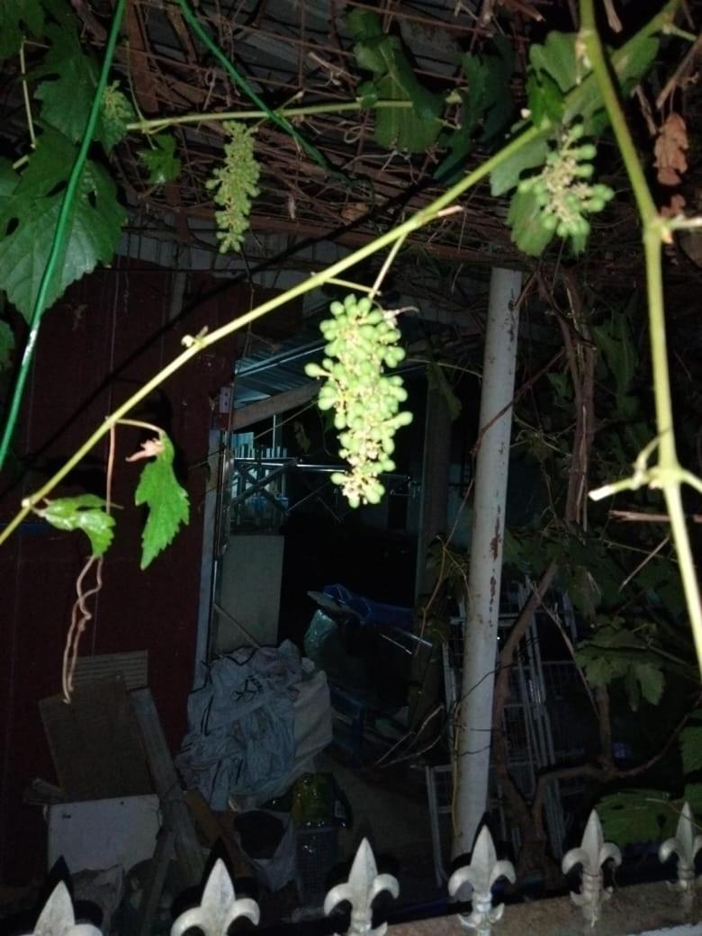 Singgahan Keluarga Jitu Jitra Εξωτερικό φωτογραφία
